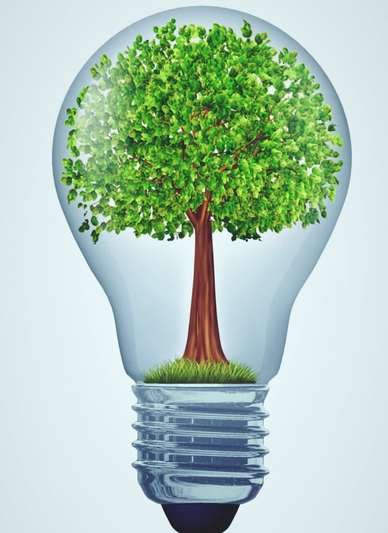 #24+Energy+Conservation+2+-+HEAL+THE+PLANET